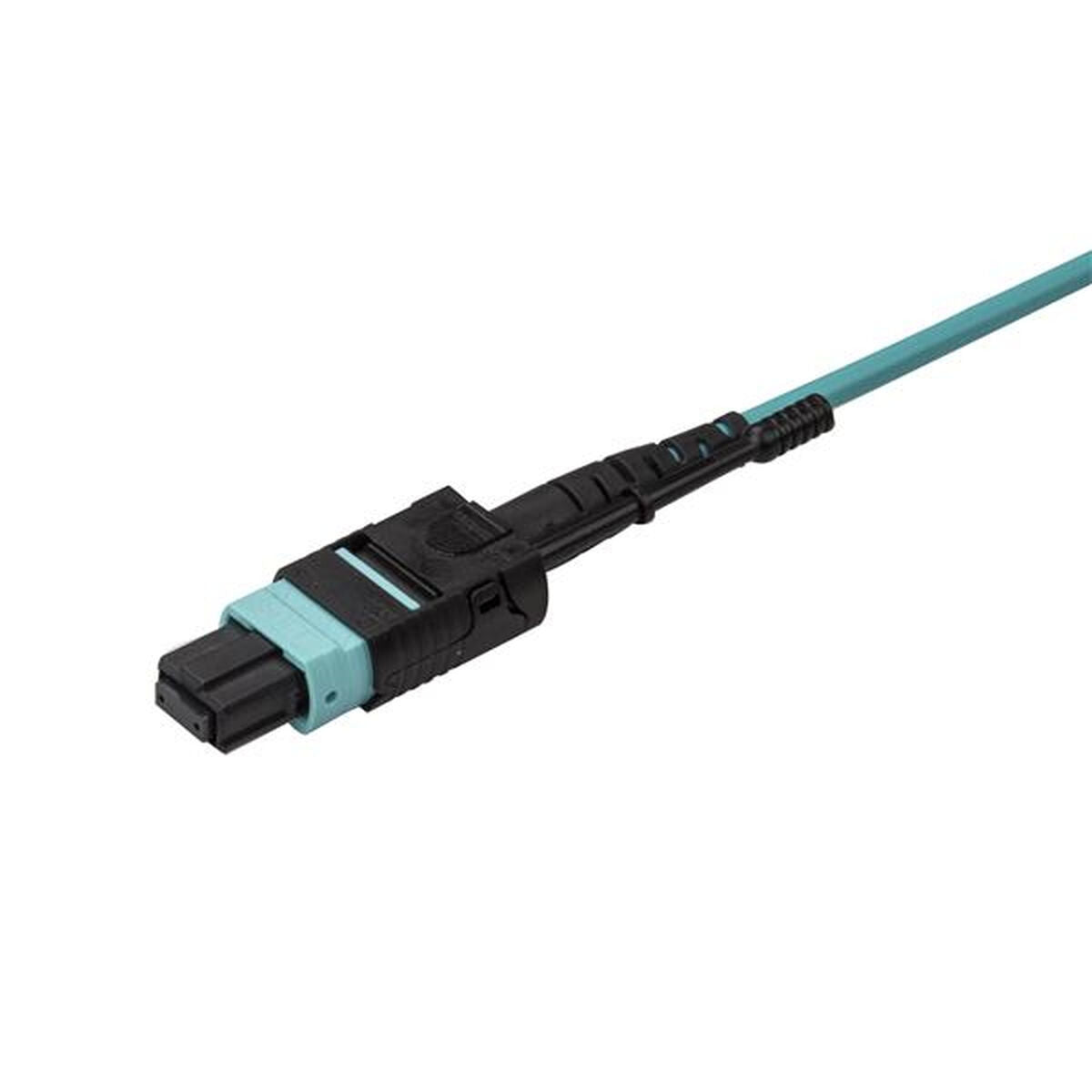 Bild-Alt-Text