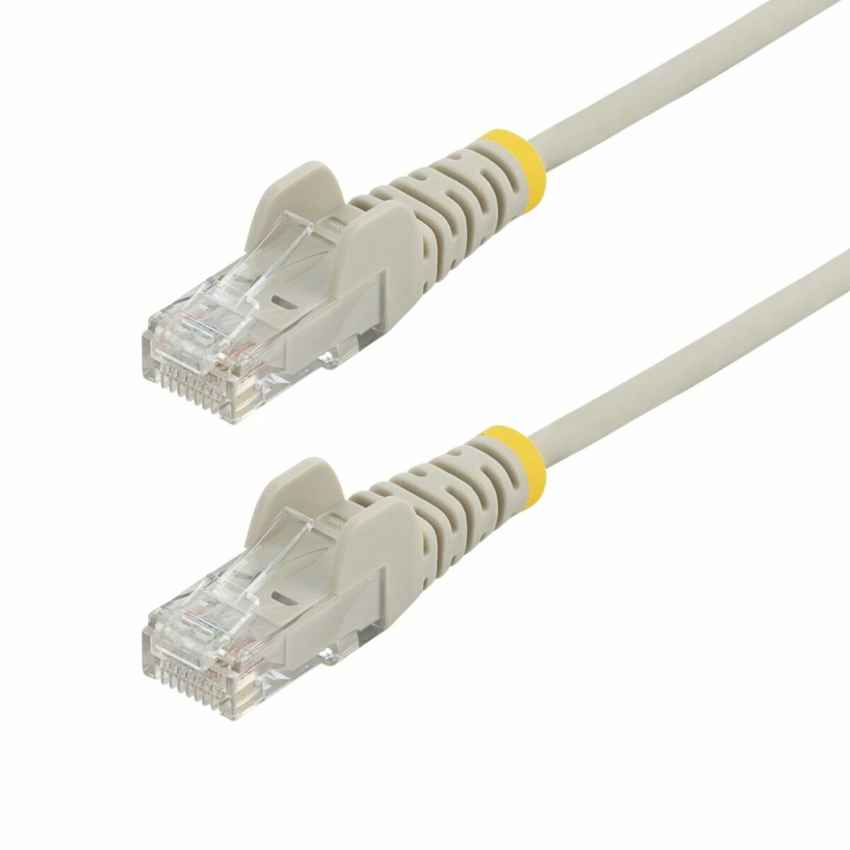 Bild-Alt-Text