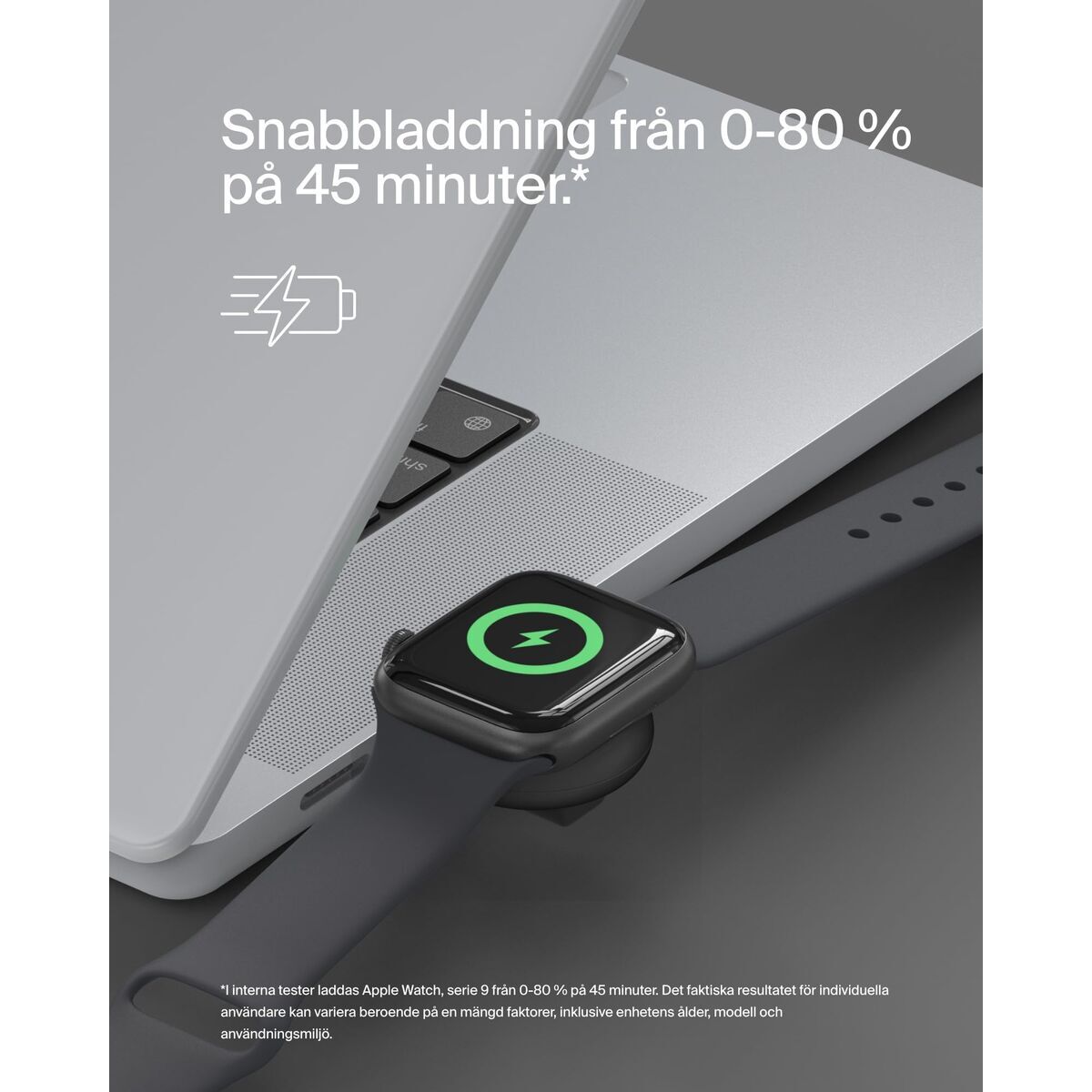 Bild-Alt-Text