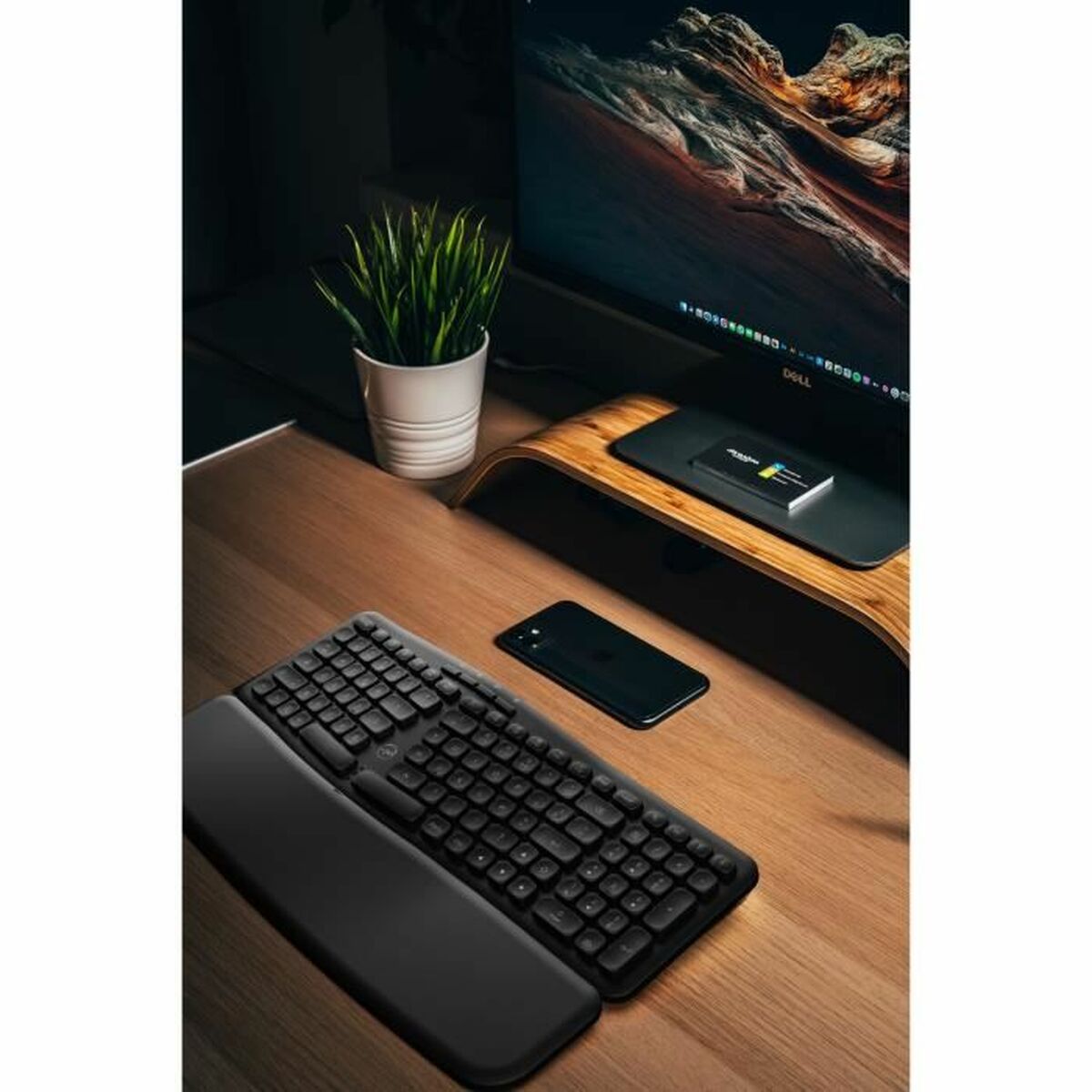 Bild-Alt-Text