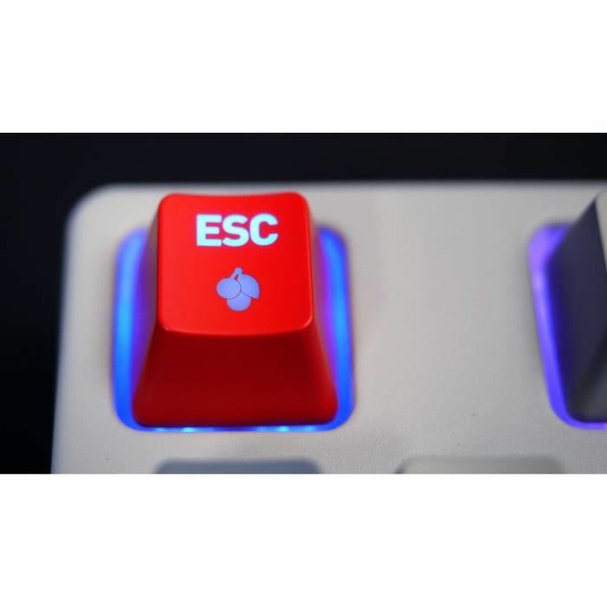 V6H3EC38D7B44A3C25F54A712E27754DFB0R7222777P2