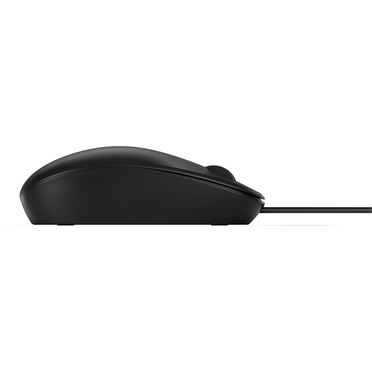 Bild-Alt-Text