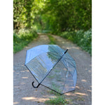 Regenschirm Glockenschirm Schirm Regen Glockenform rund klar transparent Ø 85 cm